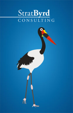 Stratbyrd Consulting